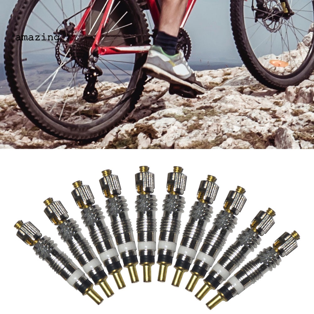 Set 10 Lõi Van Lốp Xe Đạp Thay Thế Bằng Đồng