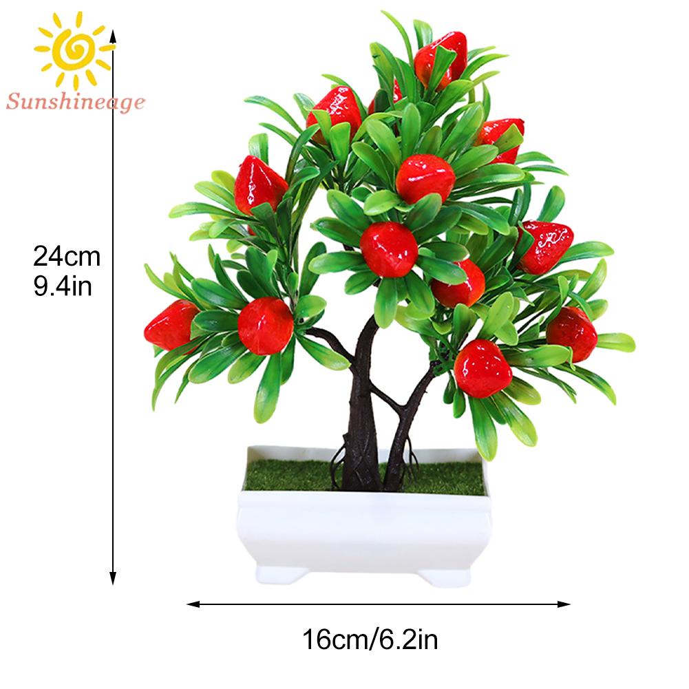Chậu Cây Bonsai Giả Trang Trí