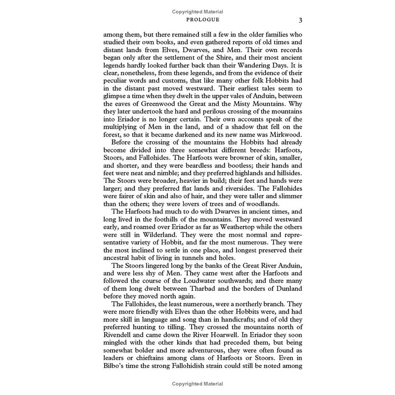 The Lord Of The Rings - The Fellowship Of The Ring