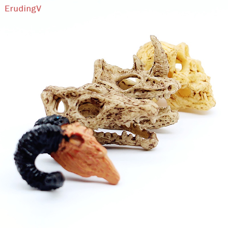 [ErudingV] Mô Hình Đầu Lâu Động Vật Tỉ Lệ 1: 12 Trang Trí Tiểu Cảnh Halloween