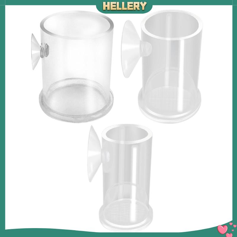 Ống Cho Cá Ăn Bằng Acrylic Trong Suốt Tiện Dụng