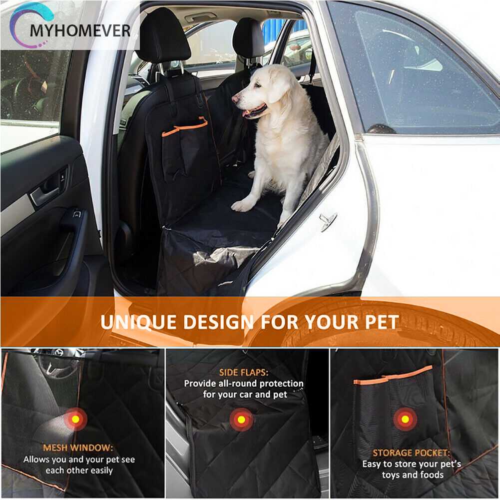 Ghế Ngồi Phía Sau Chống Trượt An Toàn Cho Thú Cưng