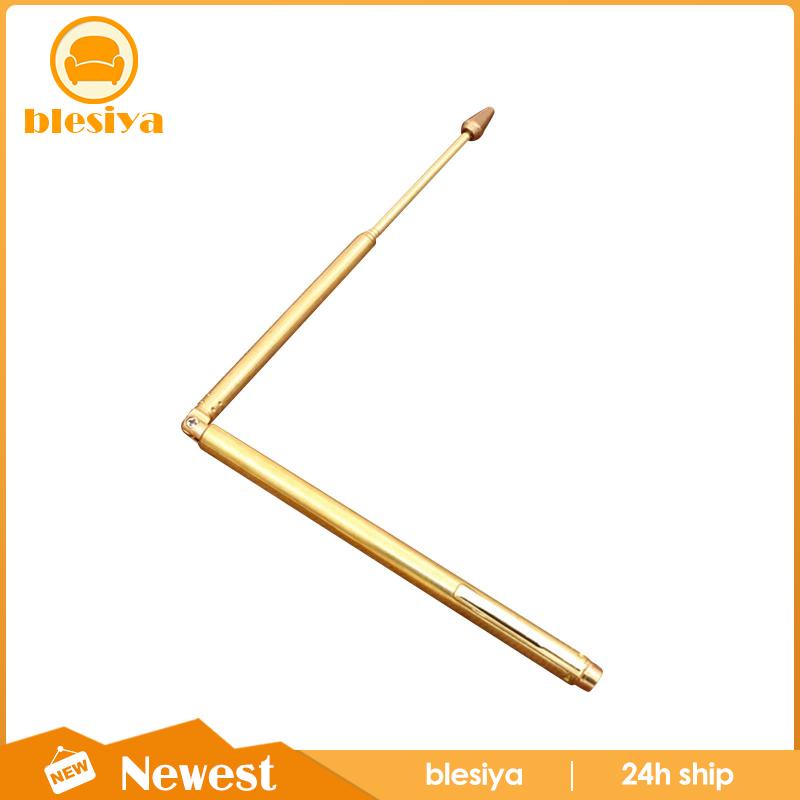 [Blesiya] Thanh Dò Tìm Linh Hoạt Bằng Đồng Cho Paranormal Ngoài Trời