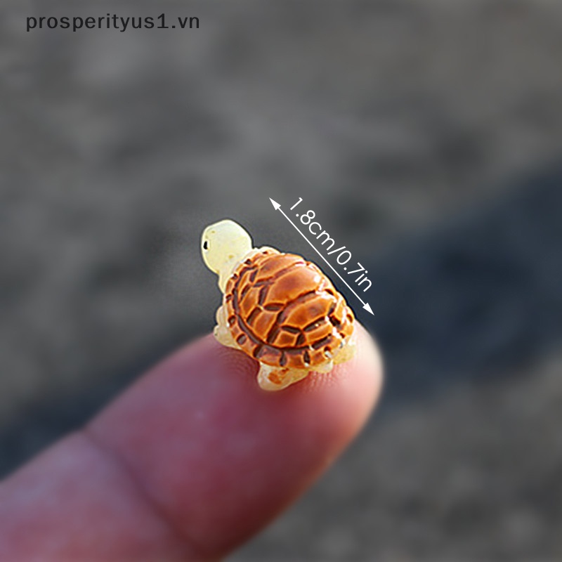 Bộ 5 Tượng Rùa Biển Dùng Trang Trí [prosperityus1]