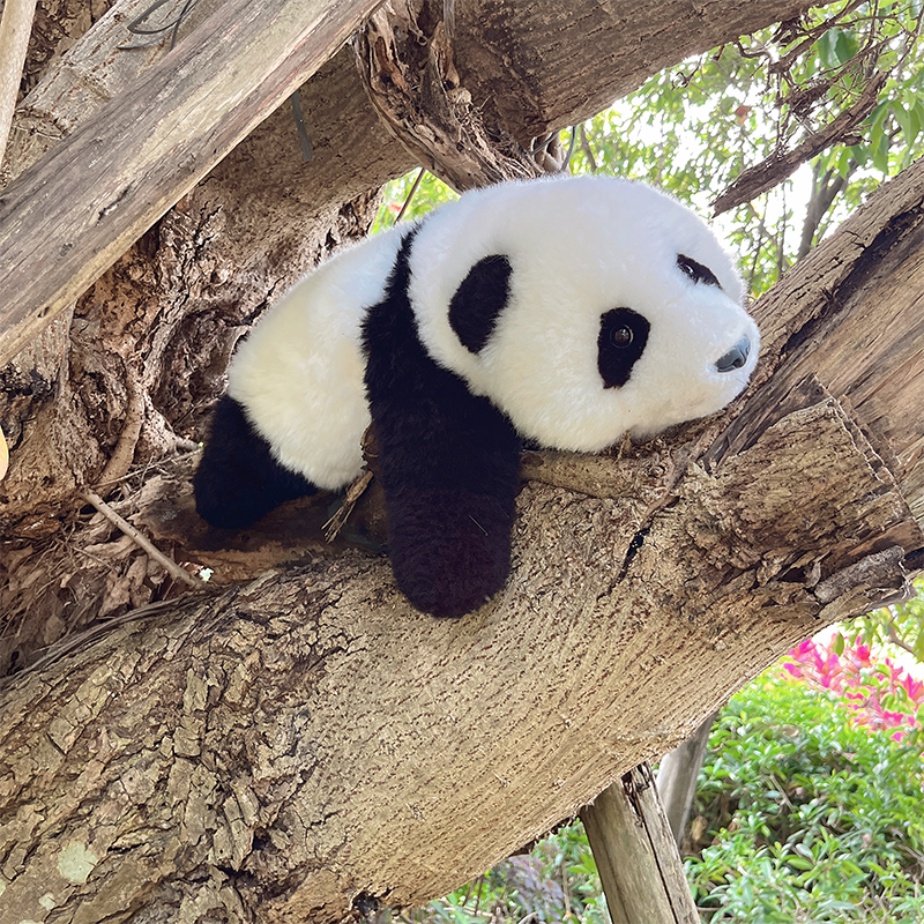 Thú Nhồi Bông Hình Gấu Trúc Huahua 24H