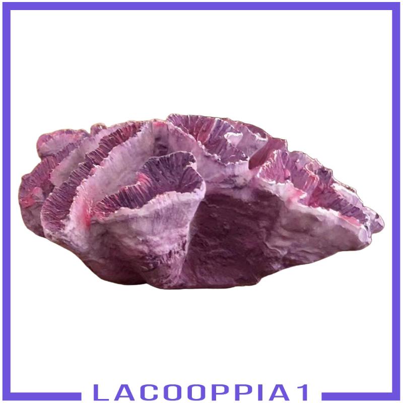 1] Mô Hình San Hô Nhân Tạo Sống Động Như Thật Cho Nhà Ở / Văn Phòng