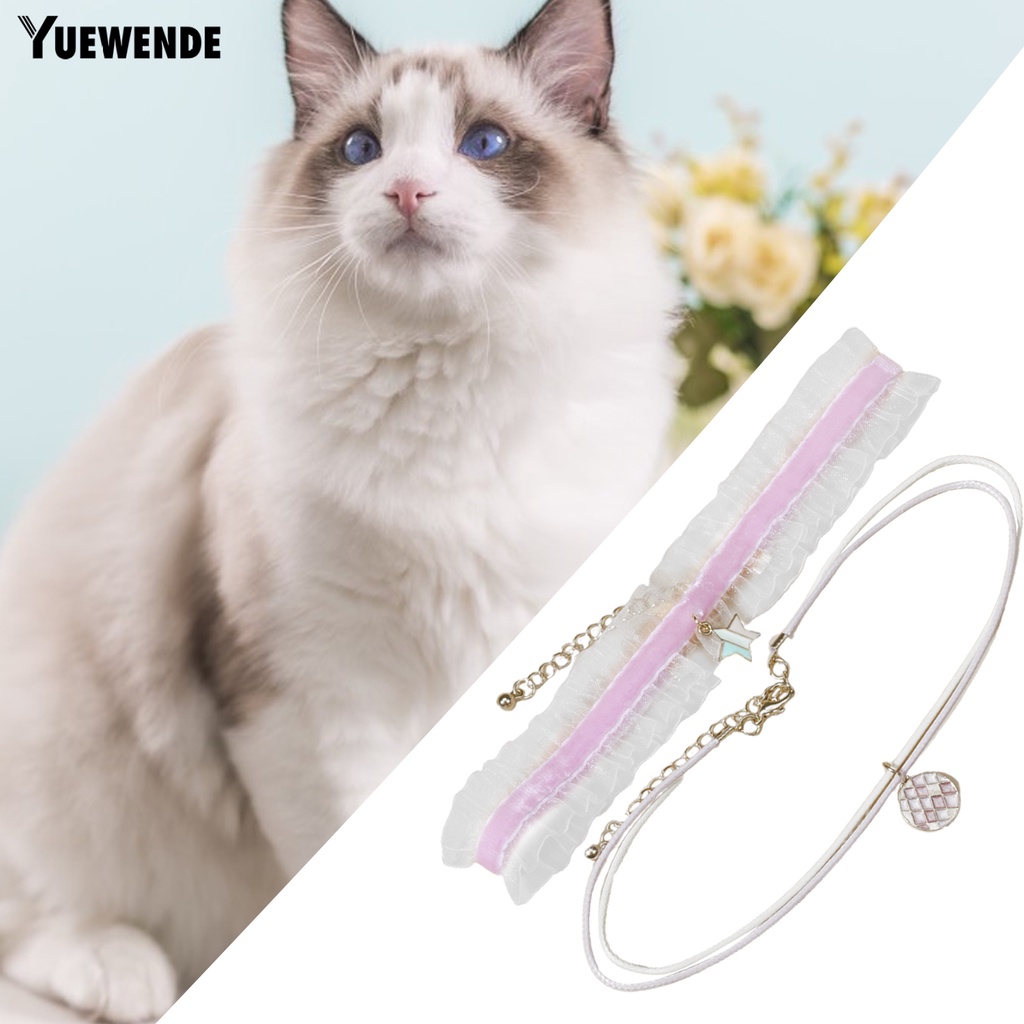 Bộ 2 Vòng Cổ Bằng Hợp Kim Chống Mài Mòn Dùng Chụp Ảnh Cho Thú Cưng