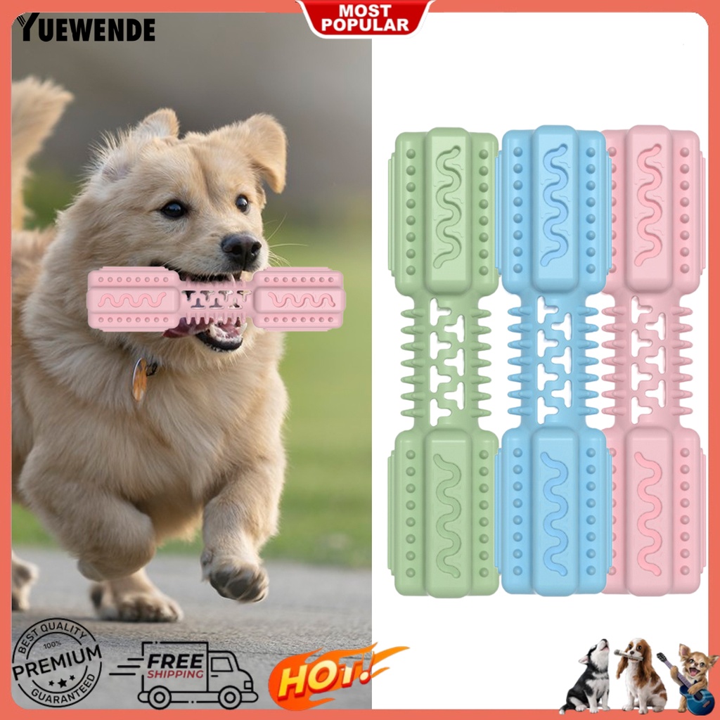 Đồ Chơi Mài Răng Hình Cục Xương Hoạt Hình Sáng Tạo Chống Mòn Chống Trầy Xước Giảm Căng Thẳng Thoải Mái Cho Cún Cưng