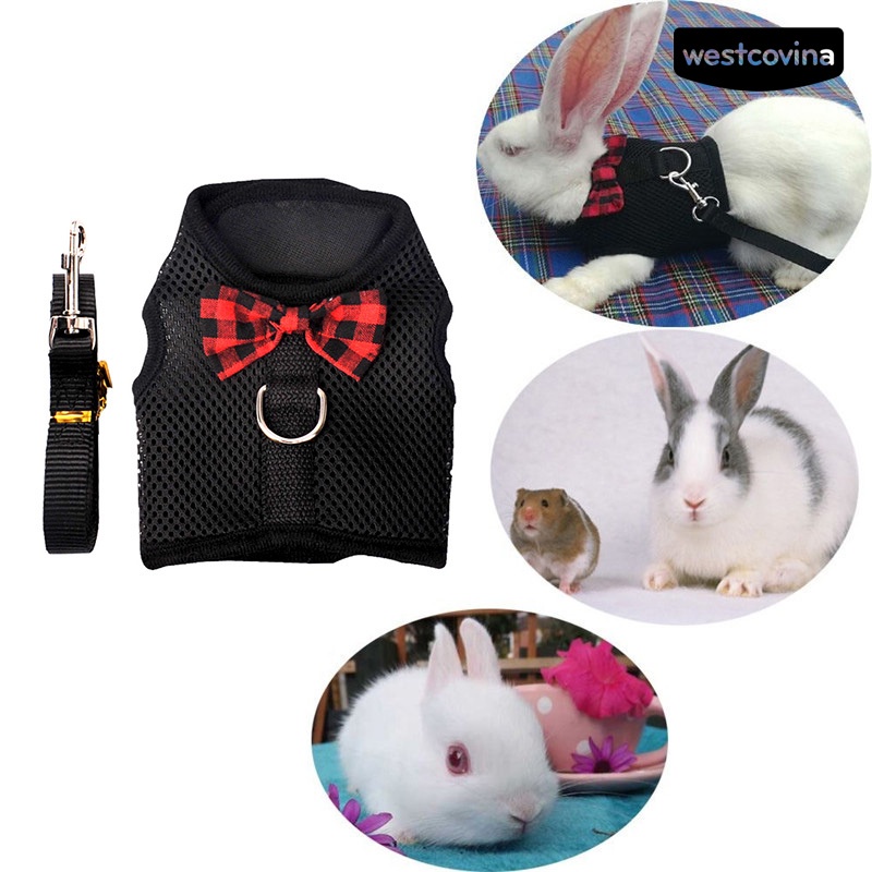 [COD]♞Áo Sát Nách Phối Lưới Mềm Đính Nơ Xinh Xắn Cho Thỏ / Chuột Hamster