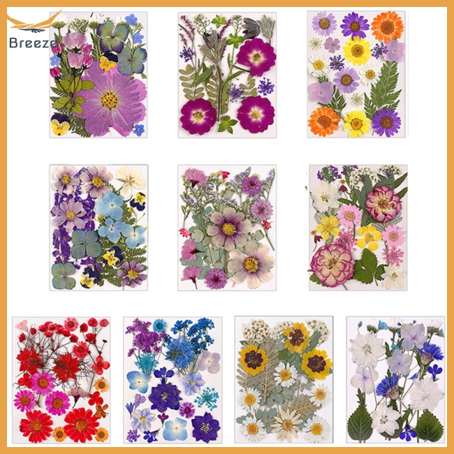 1 Túi Hoa Khô Dùng Trang Trí Điện Thoại / Trang Sức / Móng Tay Nghệ Thuật Diy