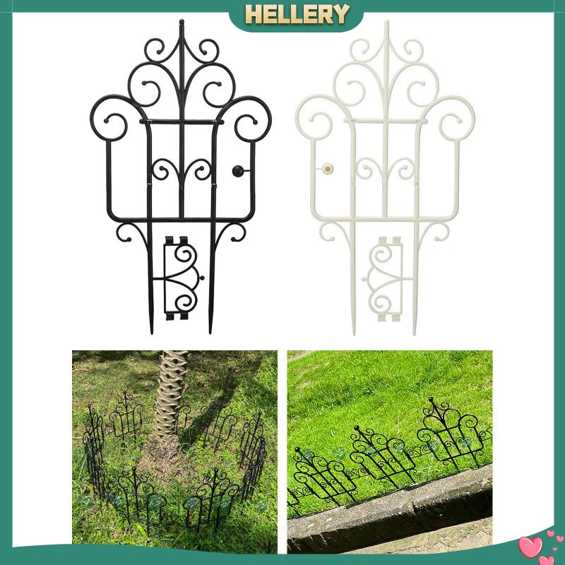 Chậu Trồng Cây Dây Leo Trong Nhà Kích Thước 16inch DIY