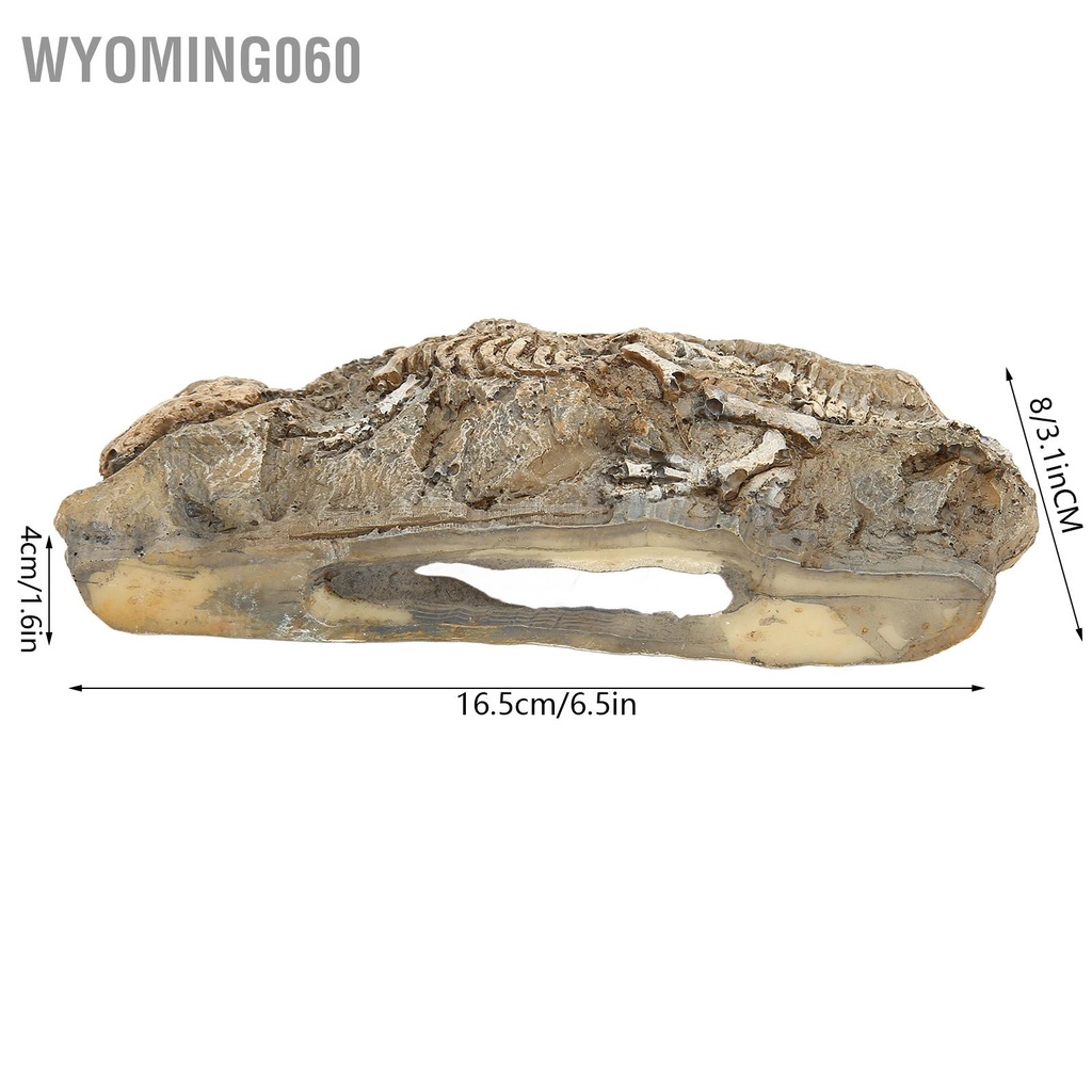 Wyoming060 Hồ Cá Khủng Long Hóa Thạch Trang Trí Bò Sát Nhựa Đá Nơi Ẩn náu Cho Bể Cảnh