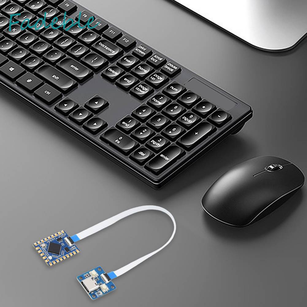 Bảng Mạch Phát Triển RP2040-Trong-Màu Với Cổng USB