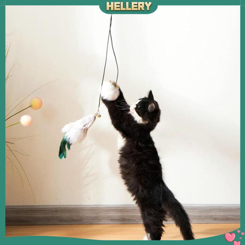 Thú Nhồi Bông Treo Cửa Cho Mèo Cưng