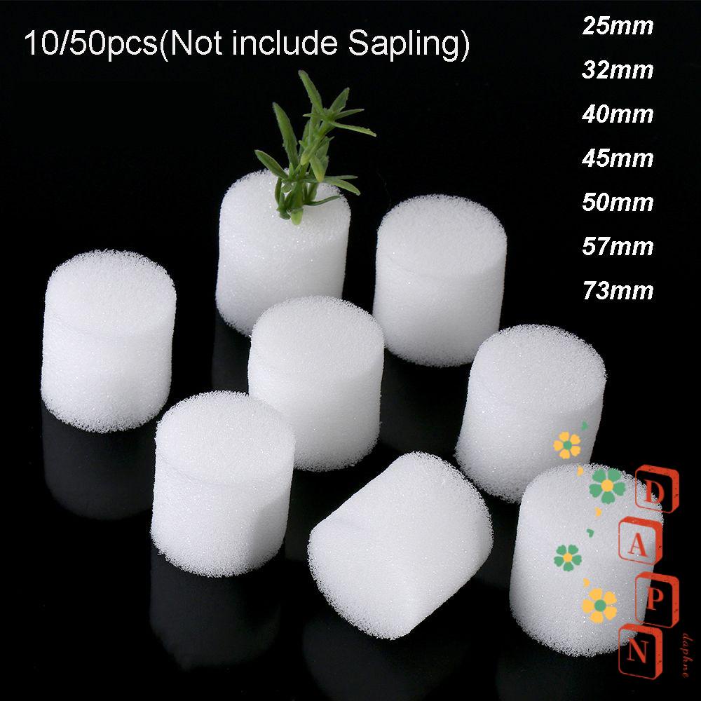 DAPHS 10 / 50 Khay Xốp Trồng Cây Bể Cá