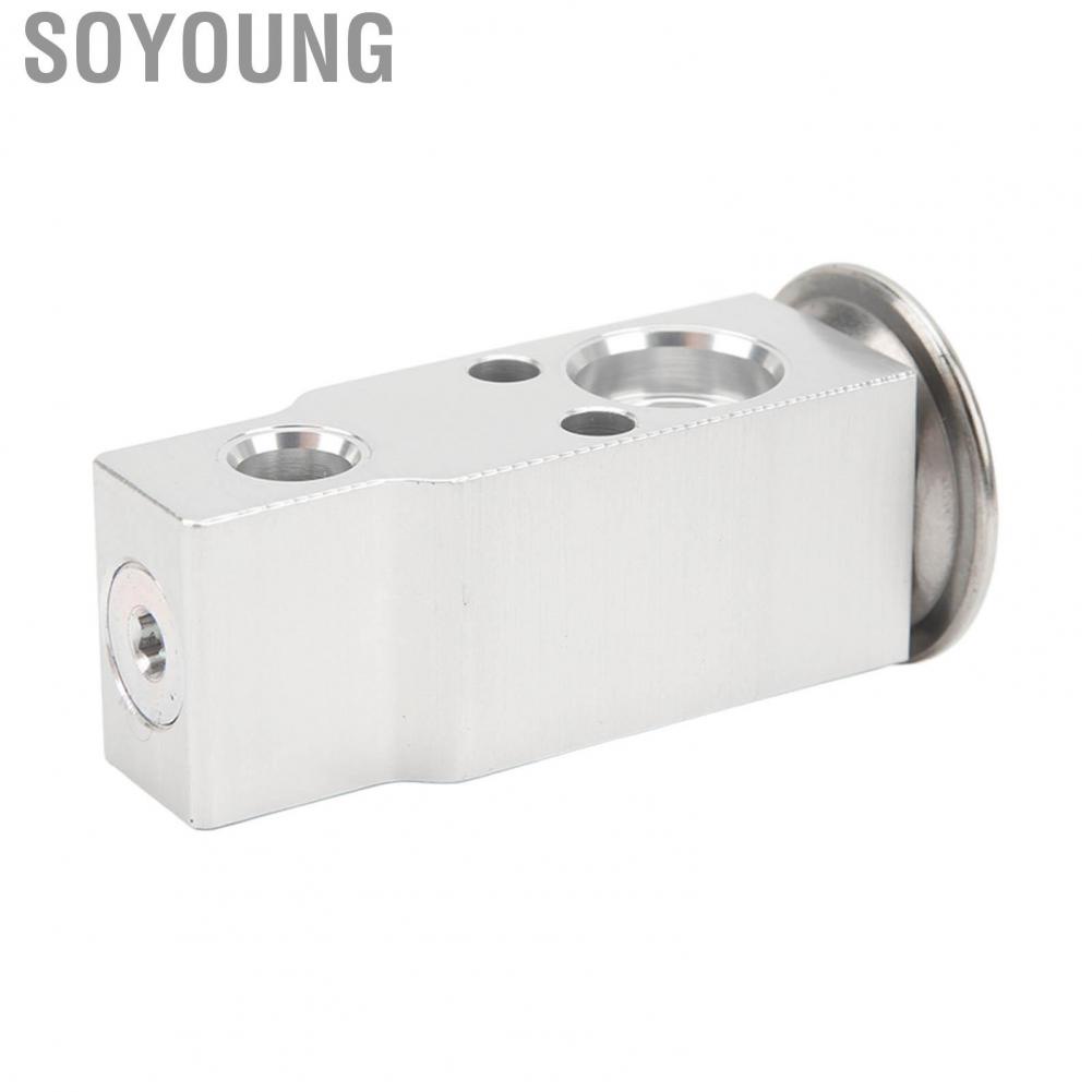 Soyoung 5139280AA  Rear AC Expansion Valve High Cooling Efficiency Rust Resistant Durable Aluminum for SUVs