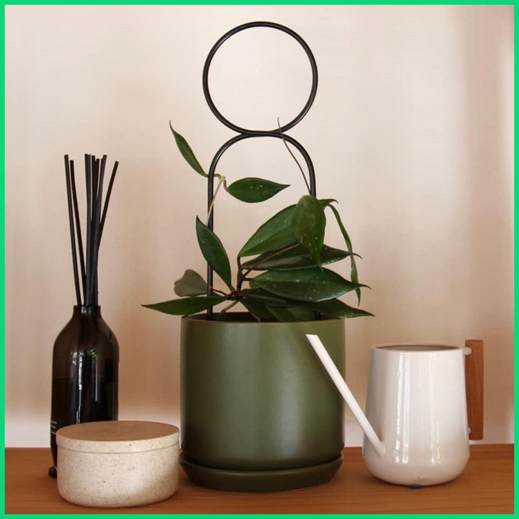 Bộ 3 Chậu Trồng Cây Trellis Bằng Kim Loại Kiểu Dáng Khác Nhau
