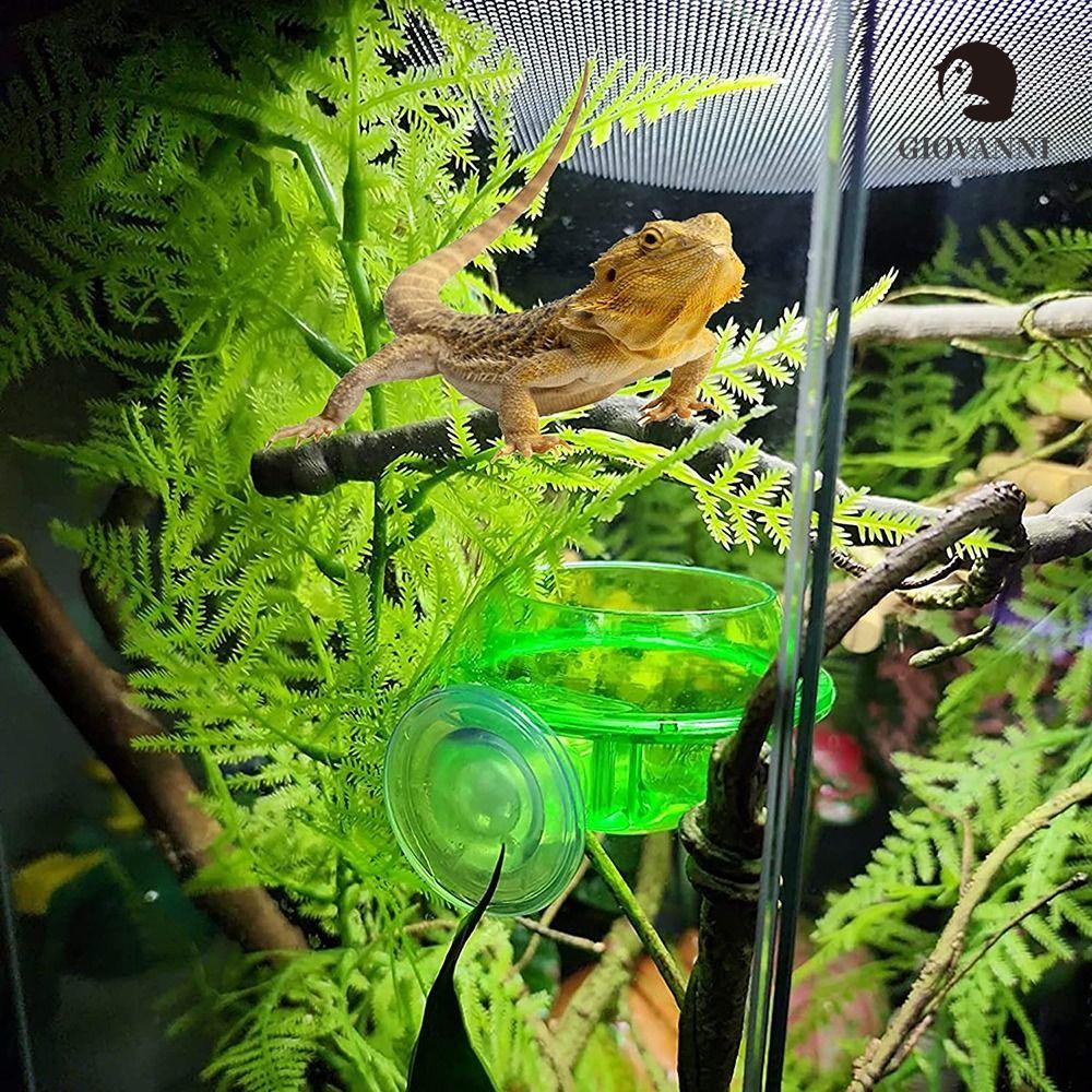 Đĩa Đựng Thức Ăn Cho Bò Sát Tiện Lợi