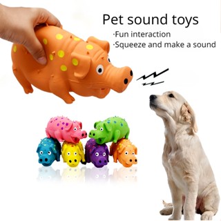 Đồ chơi thú cưng mới cho chó nhai và mài đồ chơi xếp hình chó lợn âm thanh thú cưng đồ chơi cao su thông gió đồ chơi cho chó con
