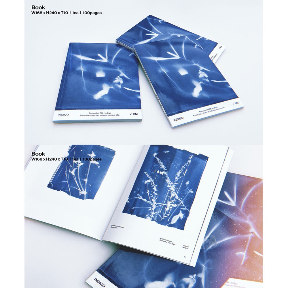 BTS RM - Indigo Album