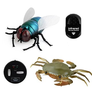 Rắn điều khiển từ xa hồng ngoại từ xa