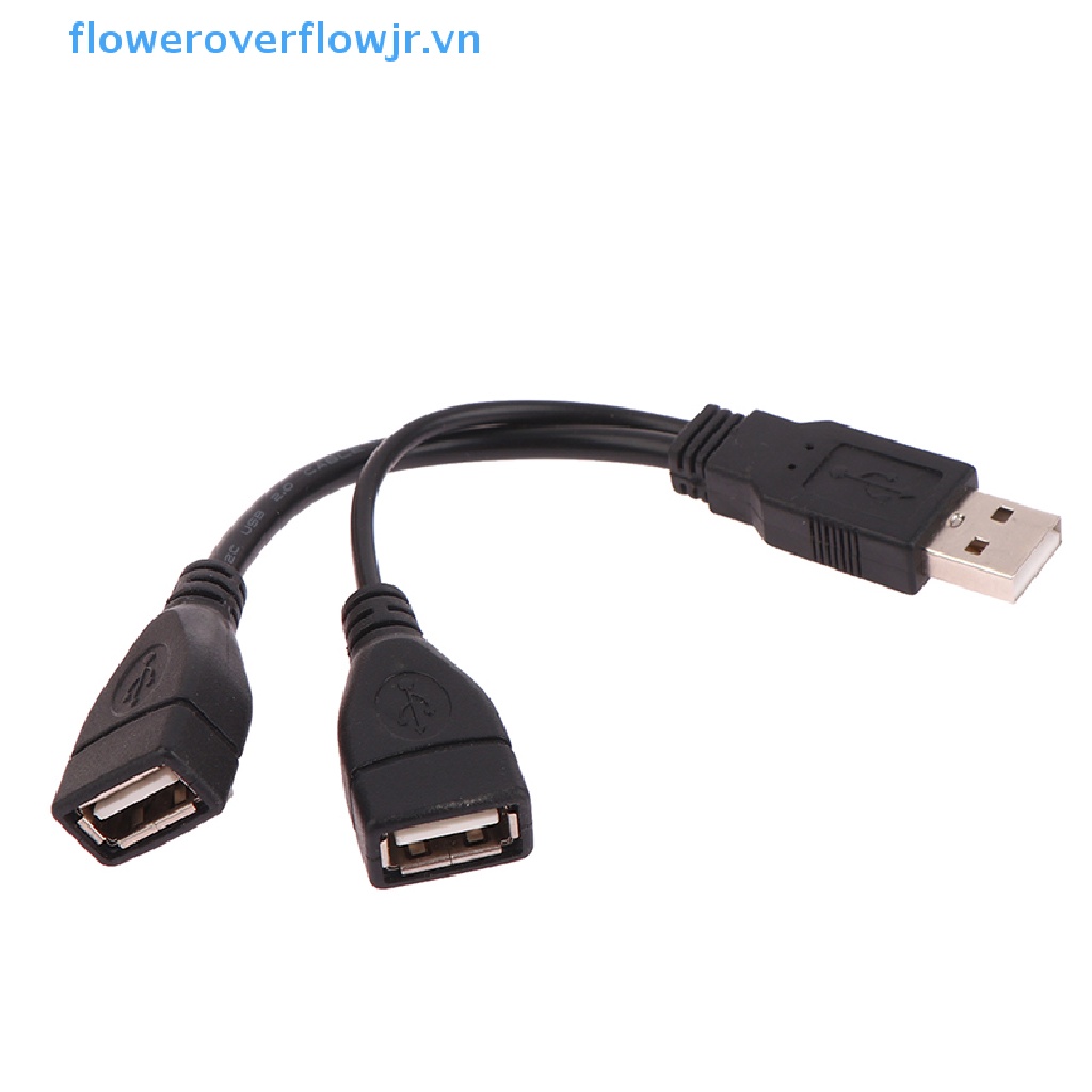 1 Dây Cáp Nối Dài Chuyển Đổi Đầu Cắm 15 / 30cm Sang 2 Ổ Cắm USB 2.0