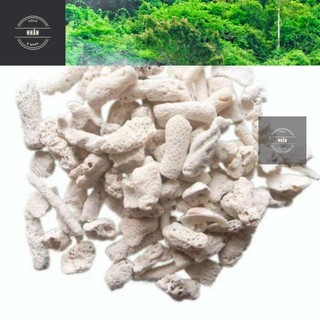 San hô vụn - trắng tinh - giao hàng siêu nhanh.