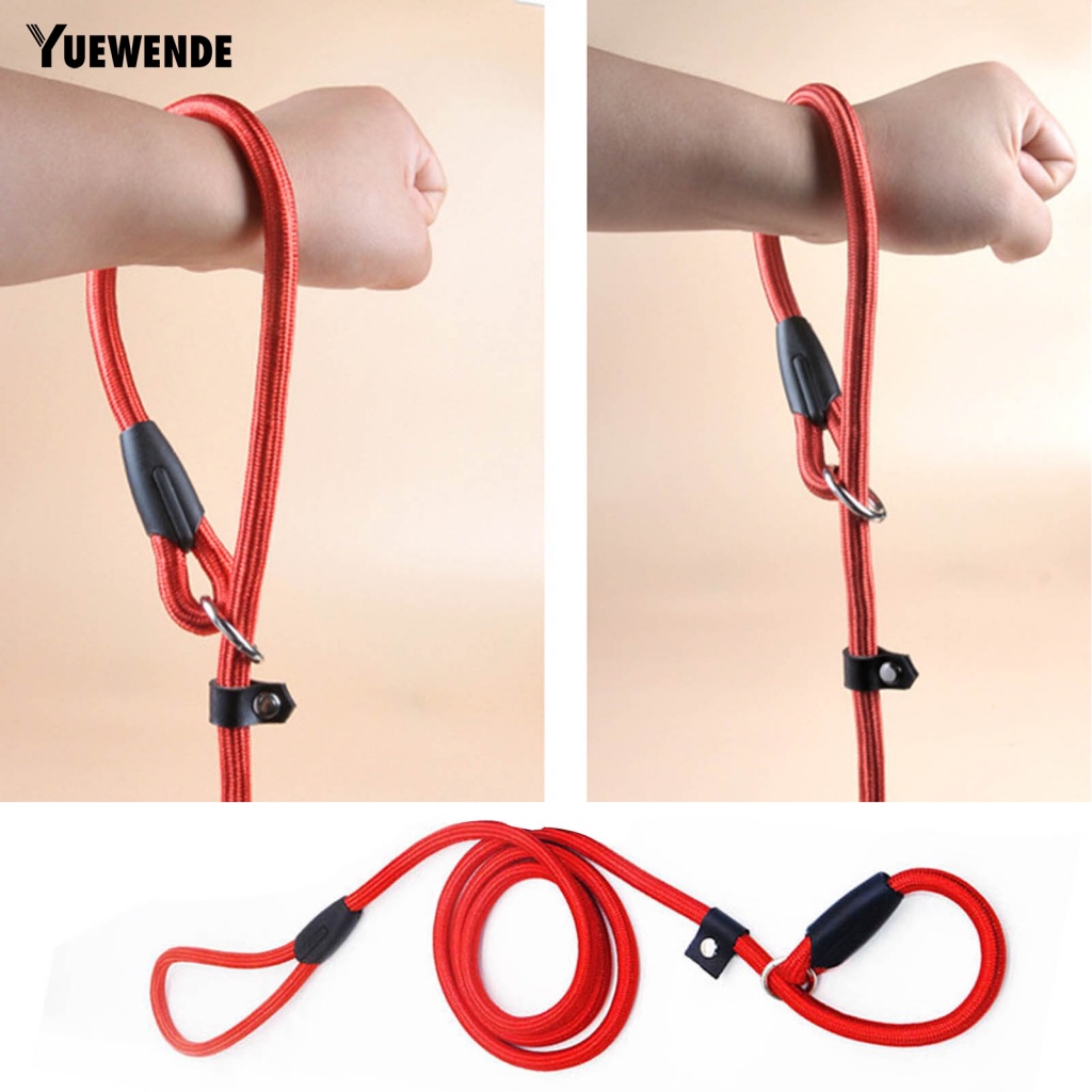 Dây Dắt Thú Cưng Đi Dạo Màu Sắc Đáng Yêu