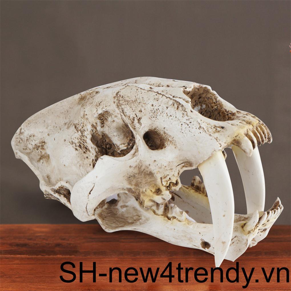 Mô Hình Đầu Lâu Răng Hổ Smilodon Saber Phong Cách Gothic Sáng Tạo Trang Trí Tiệc Halloween