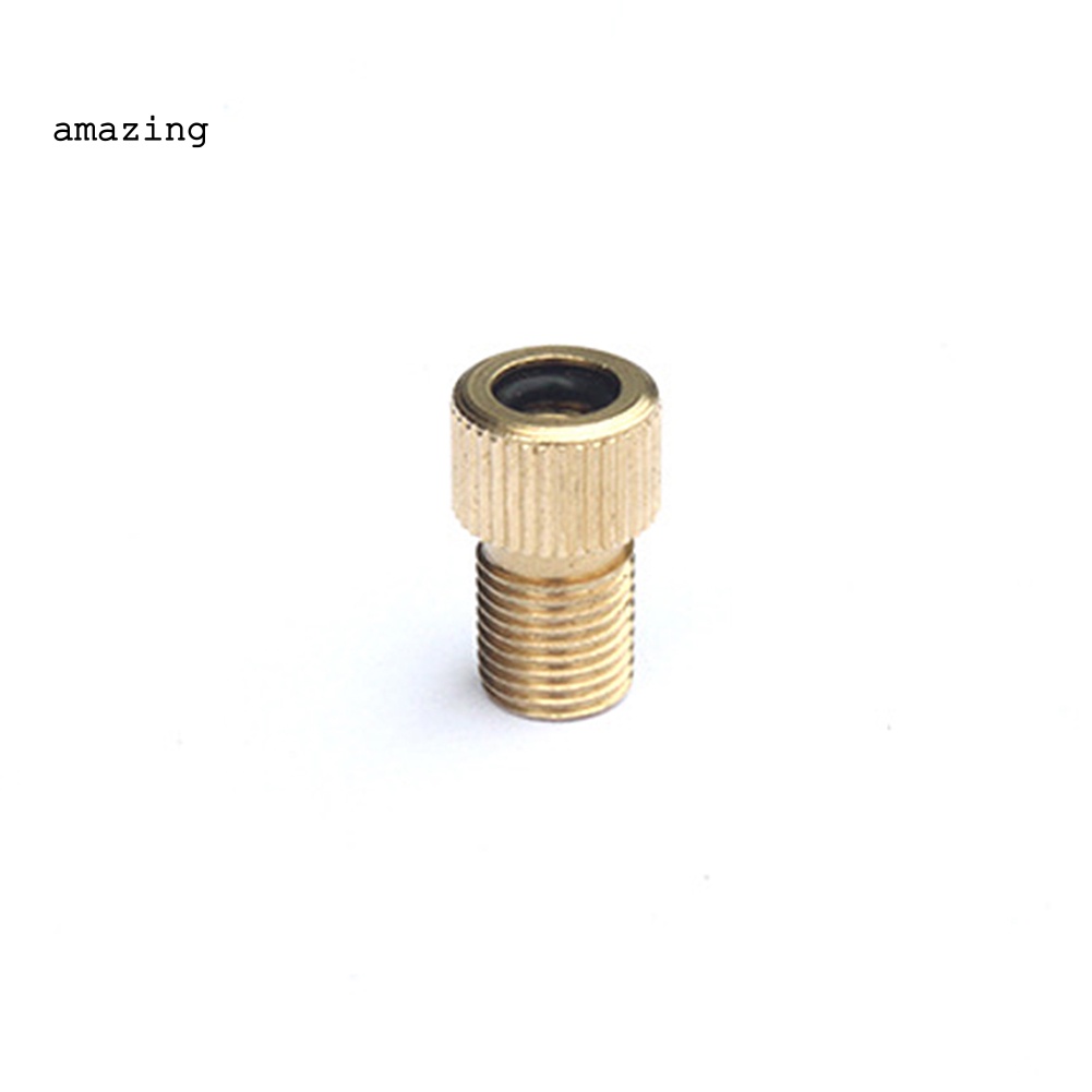 Bộ 10 Đầu Chuyển Đổi Van Presta Sang Schrader Cho Xe Đạp