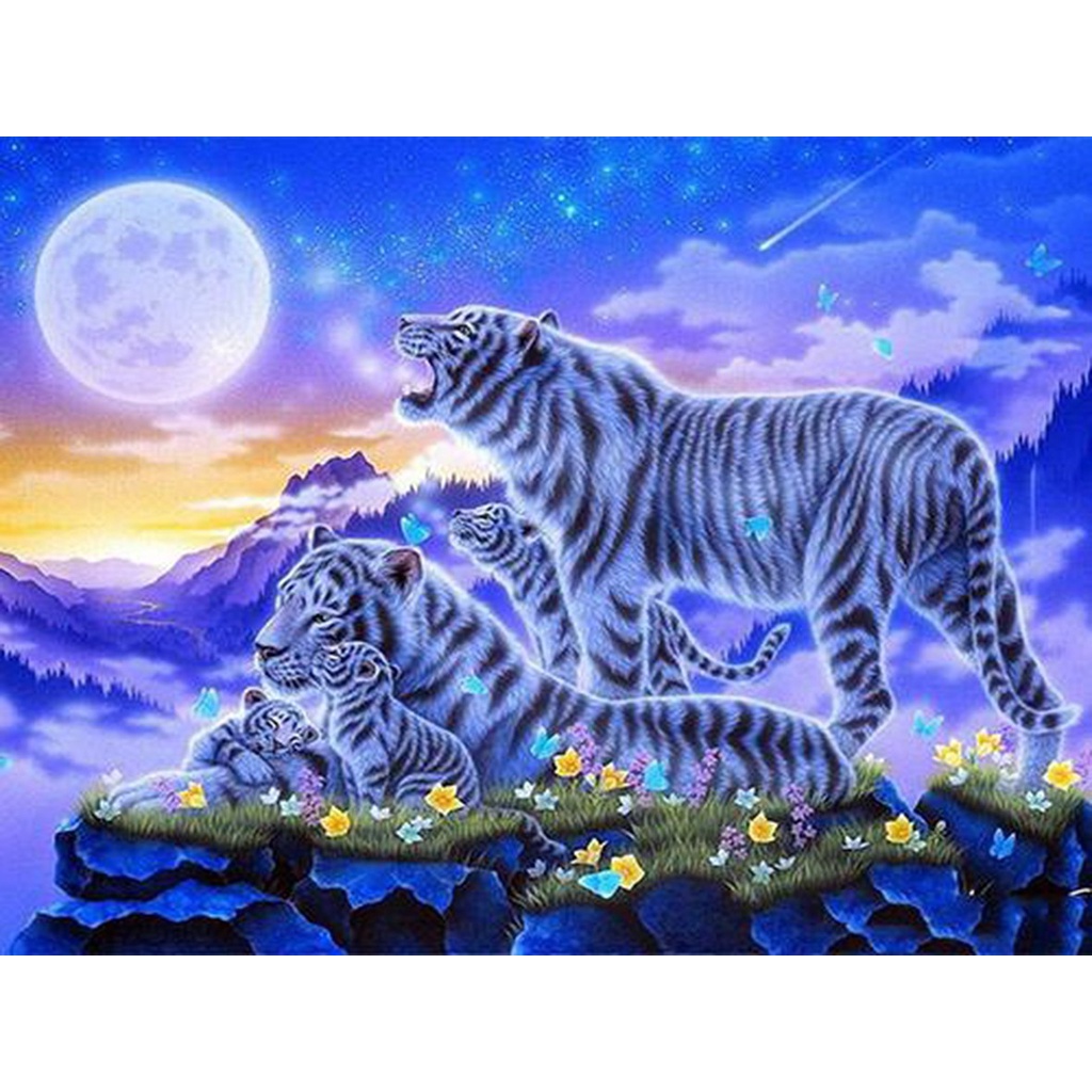Bộ Tranh Đính Đá 5D Hạt Vuông 30 * 40 CM Kèm Phụ Kiện Tự Làm Hình Hổ / Ngôi Sao / Hình Vuông DZDP15114