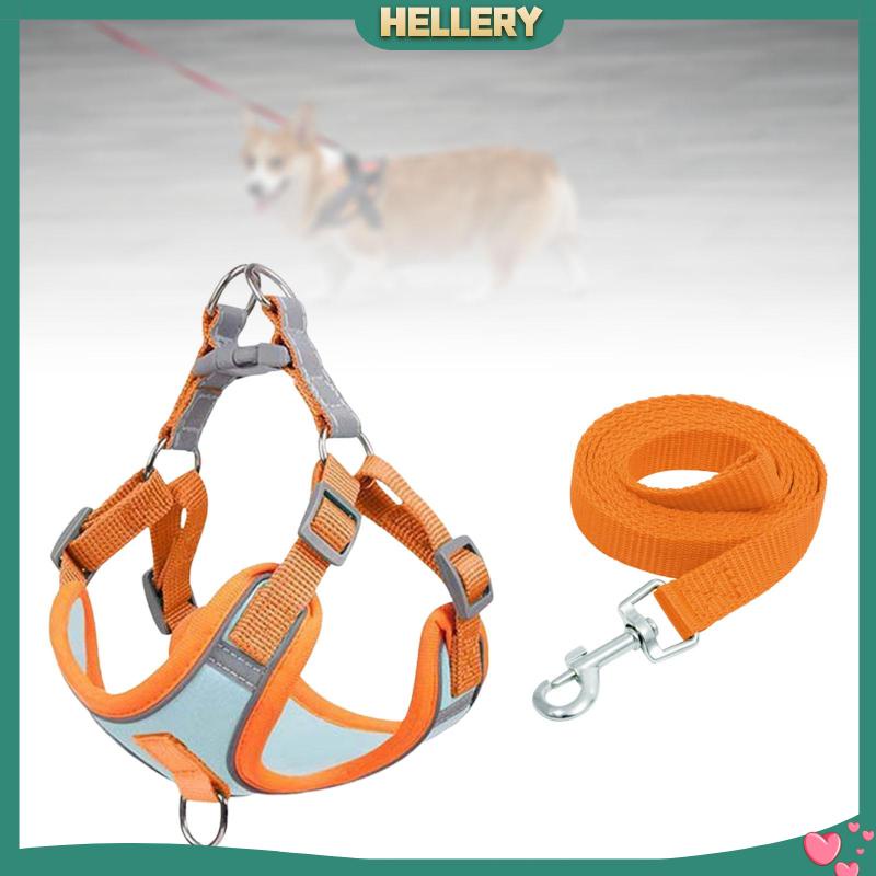 Đai Dắt Thú Cưng Đi Dạo Mềm Mại Trọng Lượng Nhẹ
