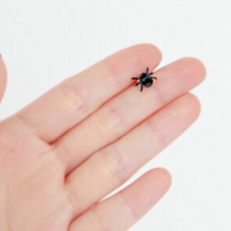 Set 2 Khuyên Tai Hình Nhện Đen Thời Trang Cho Nữ