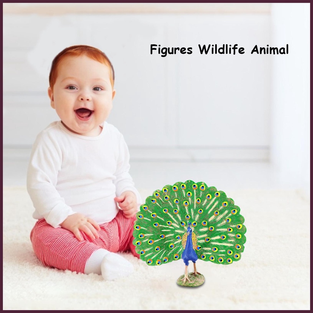 Mô Hình Chim Công Sống Động Như Thật Dùng Trang Trí