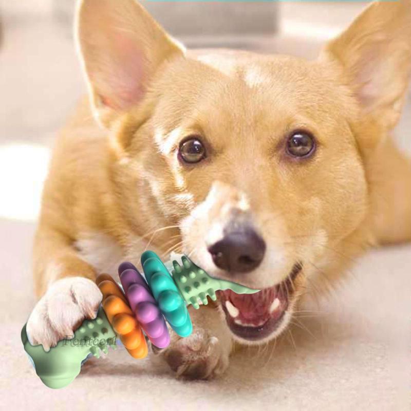 [Fenteer1] Đồ Chơi Nhai Gặm Hình Boon Làm Quà Sinh Nhật Cho Cún Cưng Nhiều Loại Khác Nhau