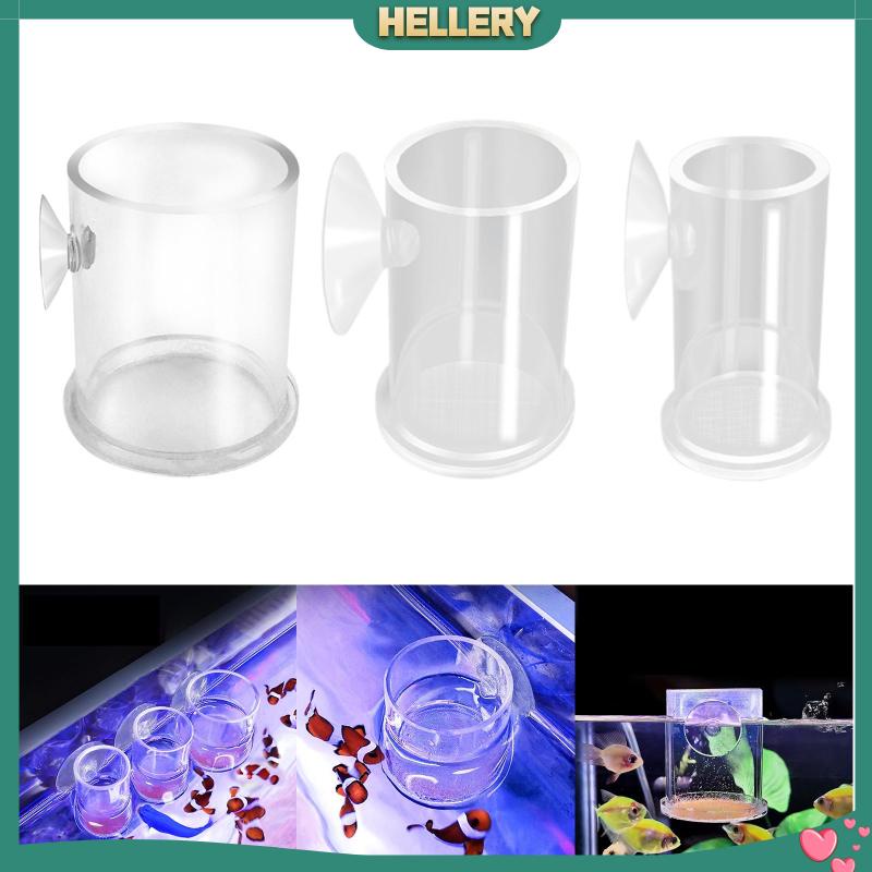 Ống Cho Cá Ăn Bằng Acrylic Trong Suốt Tiện Dụng