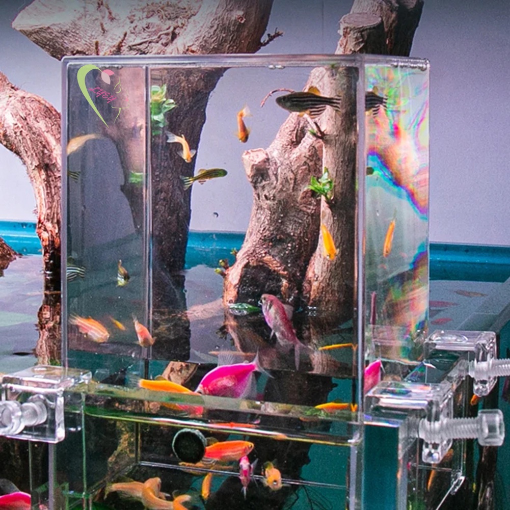 Bể Cá Áp Suất Âm Thanh Bằng Acrylic Trang Trí Bàn Làm Việc