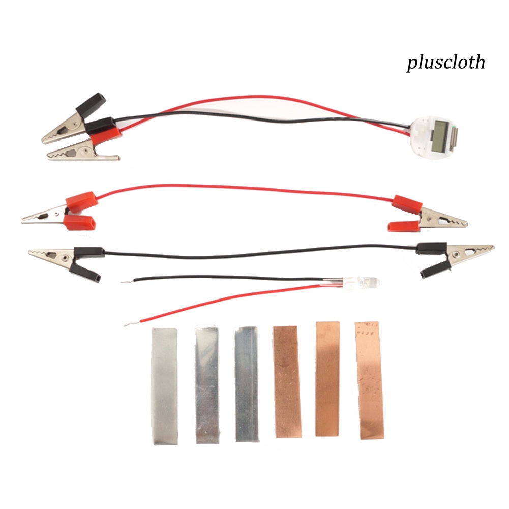 Bộ Đồ Chơi Thí Nghiệm Khoai Tây / Sinh Học Đèn Năng Lượng Mặt Trời DIY