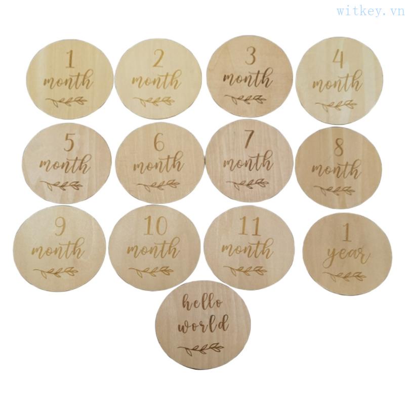 Set 13 Tấm Thẻ Ghi Âm Phát Triển Theo Tháng Làm Thủ Công Kỷ Niệm Cho Bé Sơ Sinh