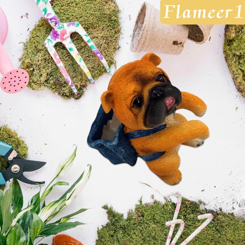 1] Ngọn Lửa Trang Trí Bể Cá Dễ Thương