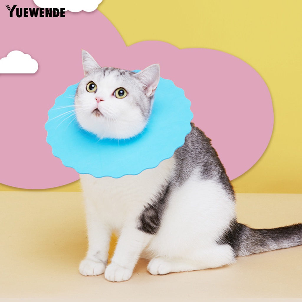 Bộ 5 Vòng Đeo Cổ Chống Cắn / Chống Đá Siêu Nhẹ Bảo Vệ Vết Thương Cho Thú Cưng