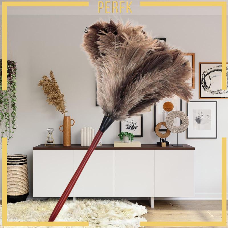 Chổi Lông Vũ Quét Bụi Vệ Sinh Xe Hơi / Nhà Cửa / Sân Vườn