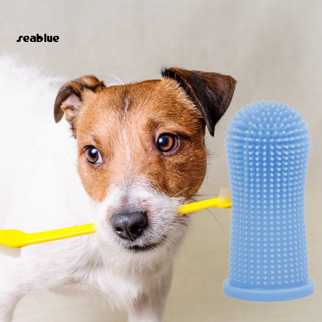 Bàn Chải Đánh Răng Bằng Silicon Mềm An Toàn Cho Thú Cưng