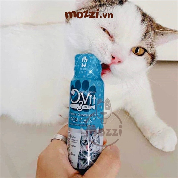 O3vit Dầu cá dưỡng da lông 50ml cho chó mèo