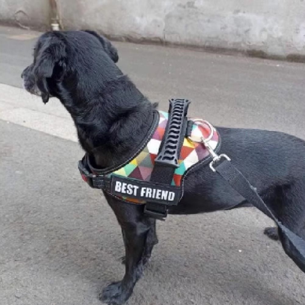 [COD] Dây Dắt Thú Cưng Đi Dạo Thiết Kế Phản Quang Thoáng Khí Tùy Chỉnh Kèm Tay Cầm Tiện Dụng Cho Cún Cưng