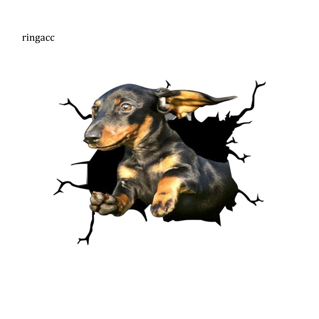 Nhãn Dán Trang Trí Xe Hơi Họa Tiết Vết Nứt 3D Dễ Thương Bắt Mắt