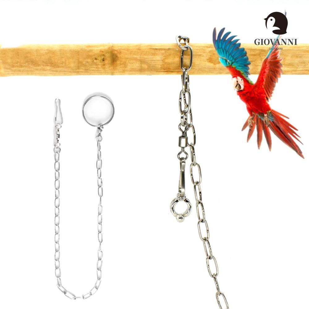 Giovanni Dây Xích Gắn Chân Chim Bằng Thép Không Gỉ
