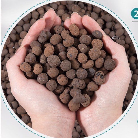 HẠT ĐẤT NUNG POOPER Siêu hút thấm nước, trang trí rải bề mặt đất kiểm soát dinh dưỡng cho sen đá, xương rồng