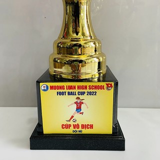 CUP BÓNG ĐÁ GIÁ RẺ - CUP 3116 ( MIỄN PHÍ THIẾT KẾ VÀ IN ẤN THEO YÊU CẦU )