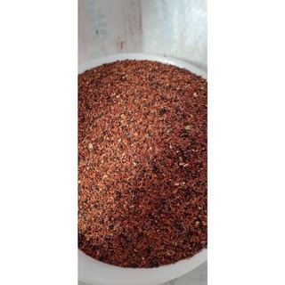 1 kg hạt giống cây giống bạch đàn đỏ